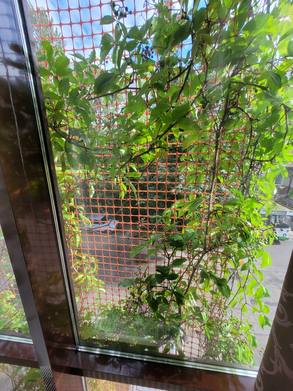 Гостиница Шёлковый путь Санкт-Петербург-95